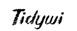 Tidywi - logo